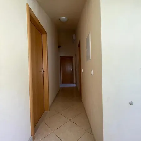 Nikola *